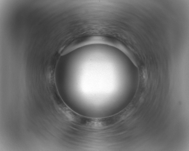 X0000069840276200605191213