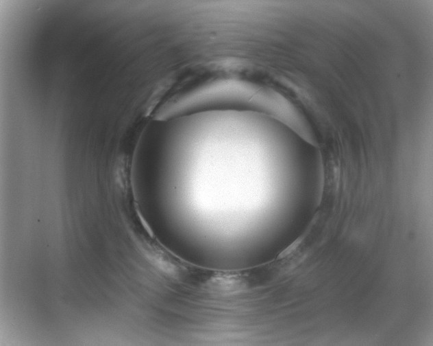 X0000069840280200605191213