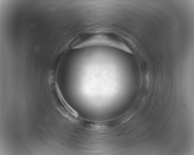 X0000069840284200605191213