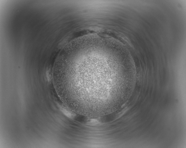 X0000069840285200605191213