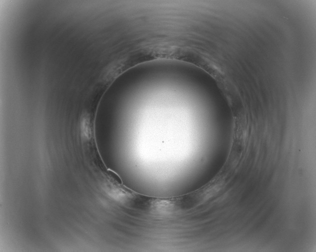 X0000069840287200605191214