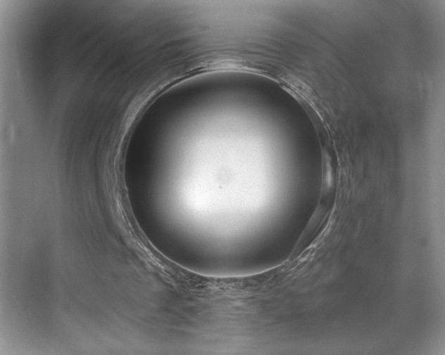 X0000069840289200605191213