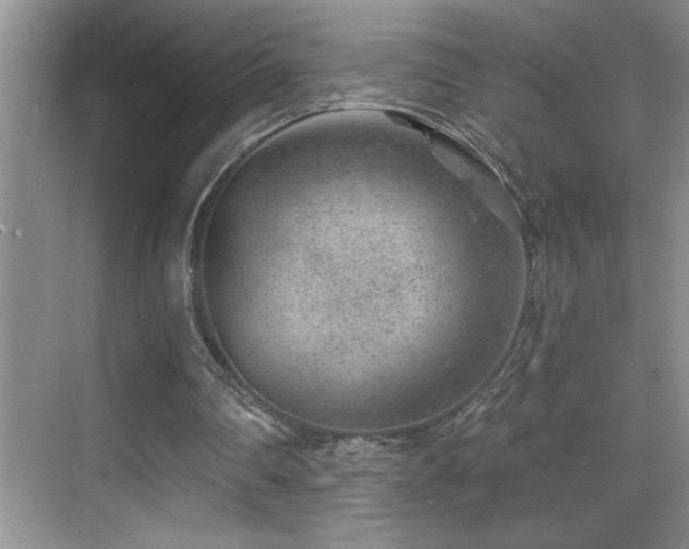 X0000069840290200605191213