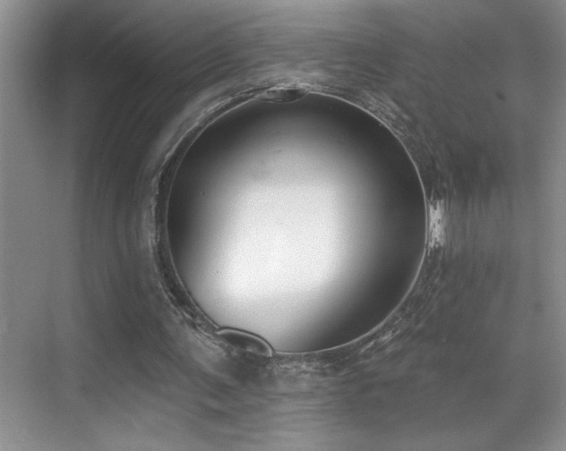 X0000069840291200605191213