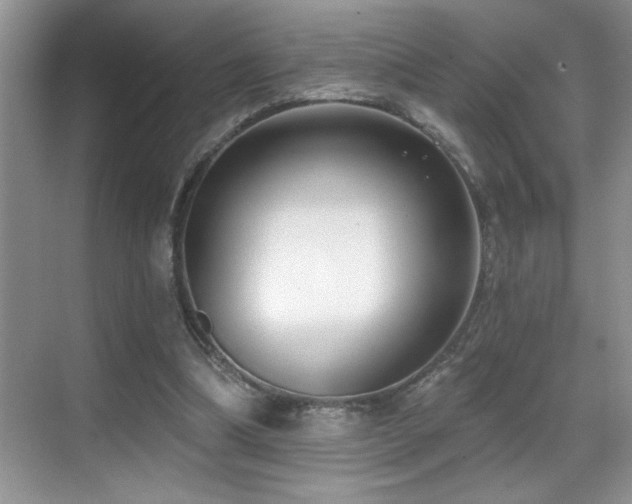 X0000069840298200605191213