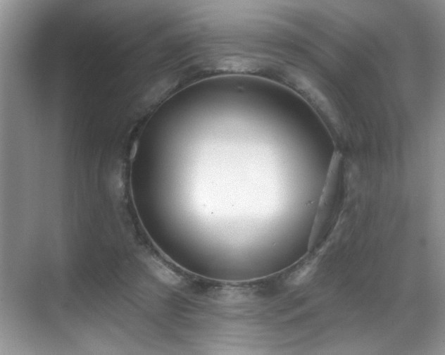 X0000069840305200605191212