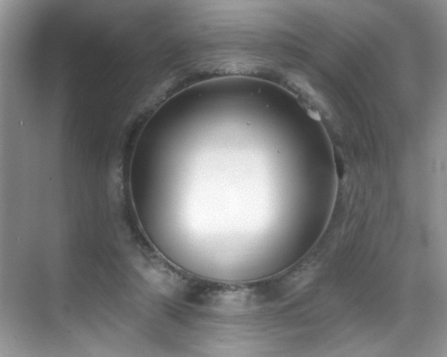 X0000069840306200605191212