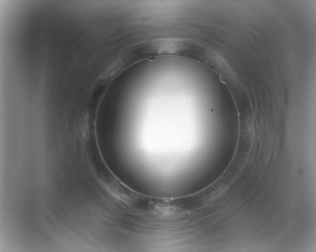 X0000069840311200605191212