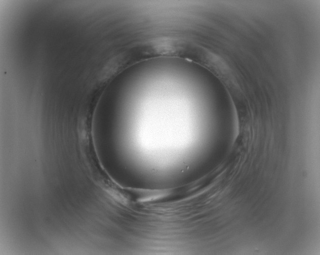 X0000069840317200605191212