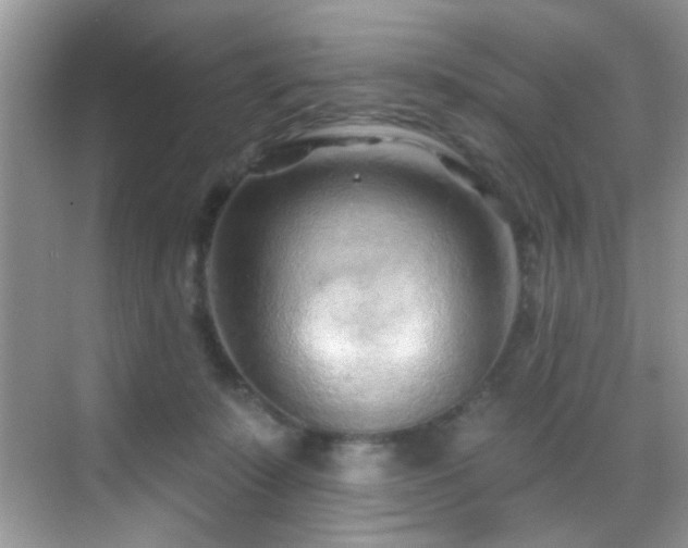 X0000069840319200605191212