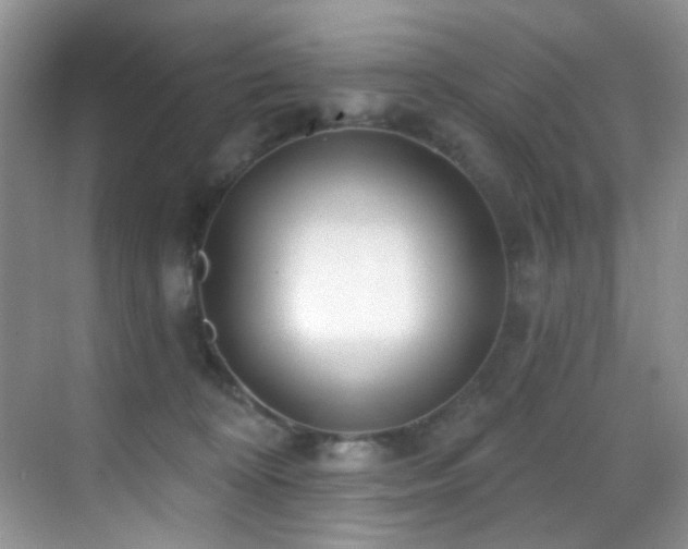 X0000069840324200605191212