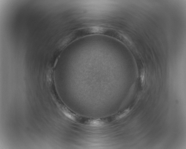 X0000069840325200605191212
