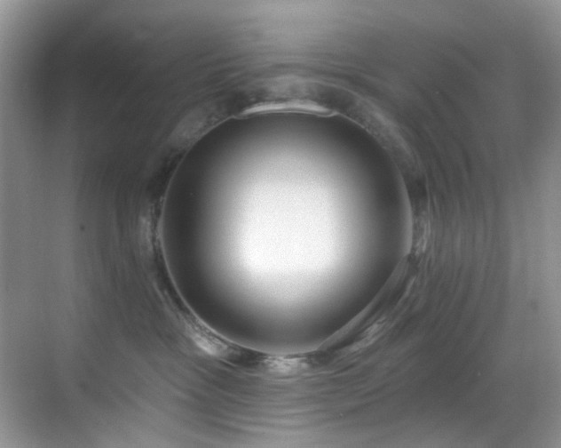 X0000069840333200605191212