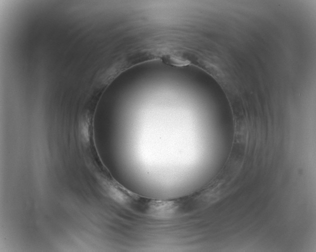 X0000069840334200605191212
