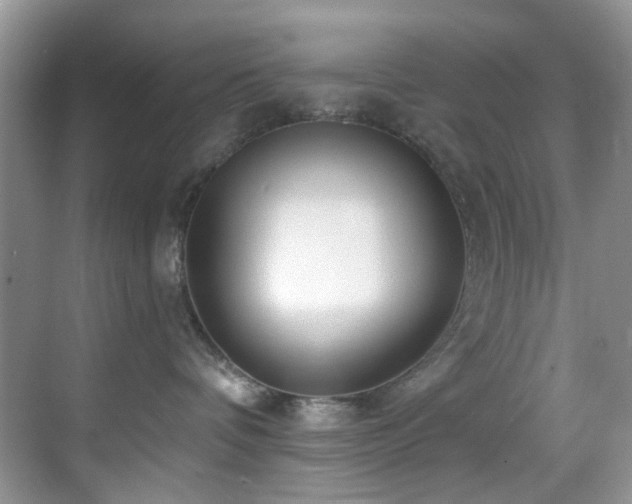X0000069840336200605191212