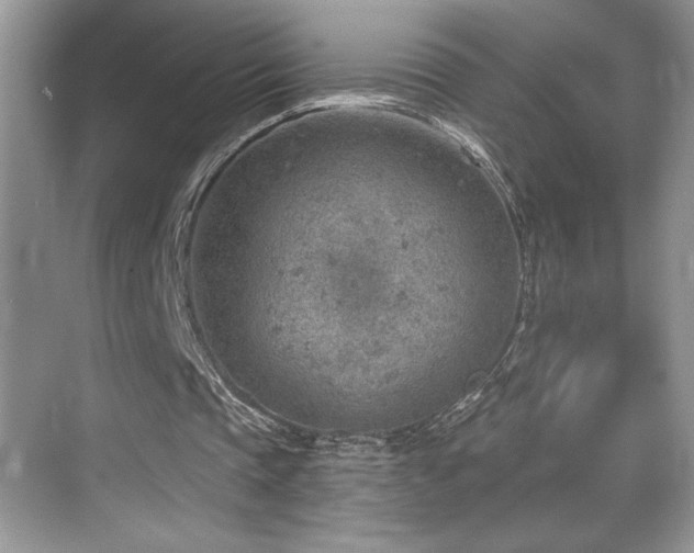 X0000069840337200605191211