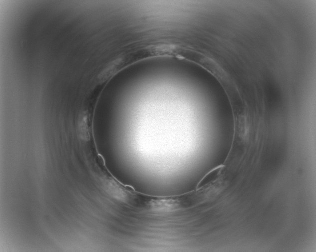 X0000069840378200605191212