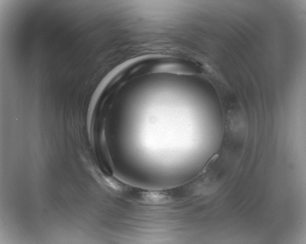 X0000069840380200605191212