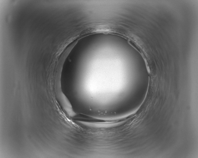 X0000069840385200605191211