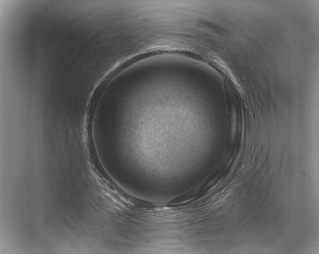 X0000069840387200605191211