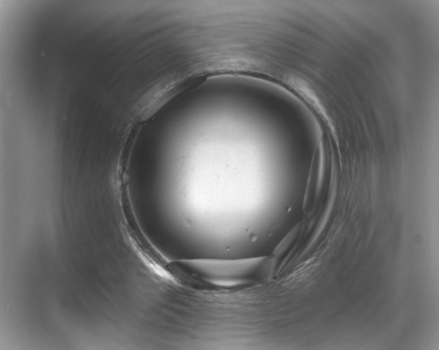 X0000069840389200605191211