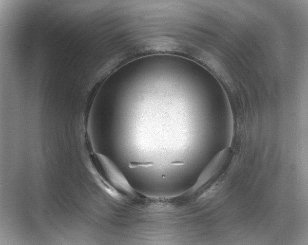 X0000069840397200605191211