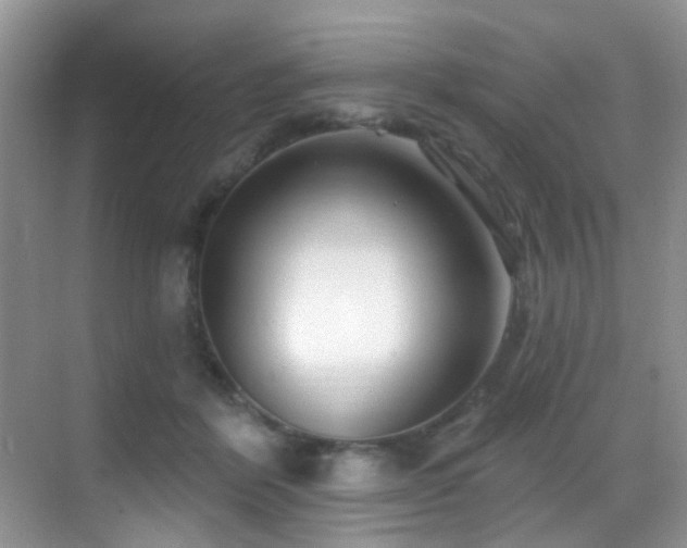 X0000069840412200605191211