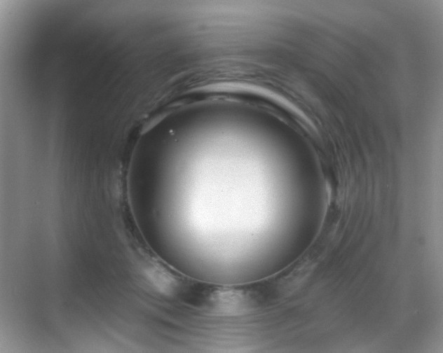 X0000069840413200605191211