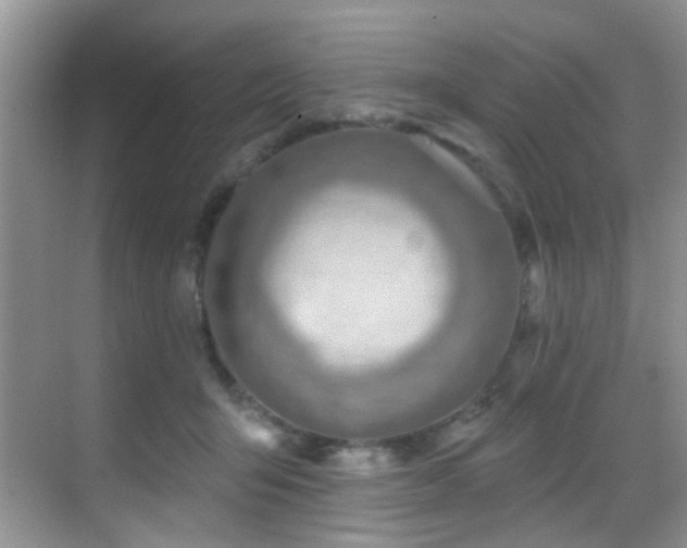 X0000069840415200605191211