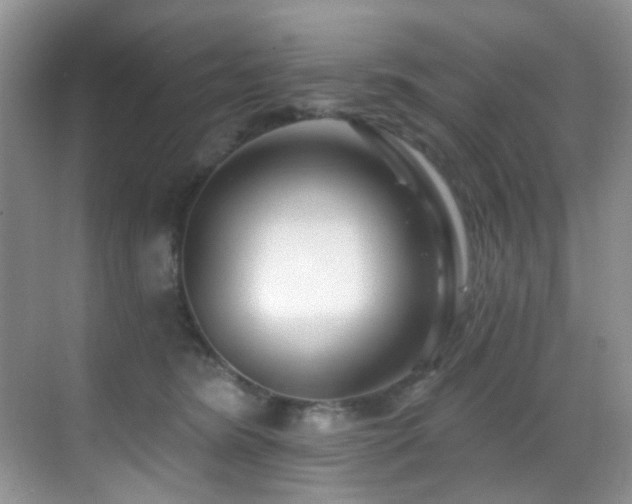 X0000069840420200605191211