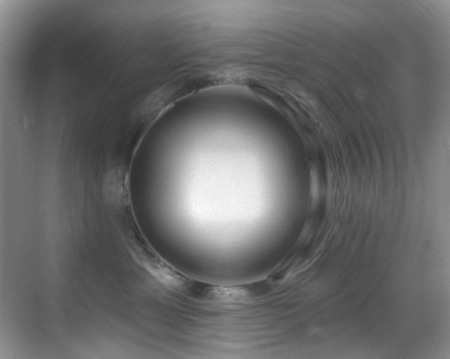 X0000069840429200605191210