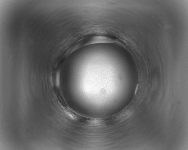 X0000069840432200605191210