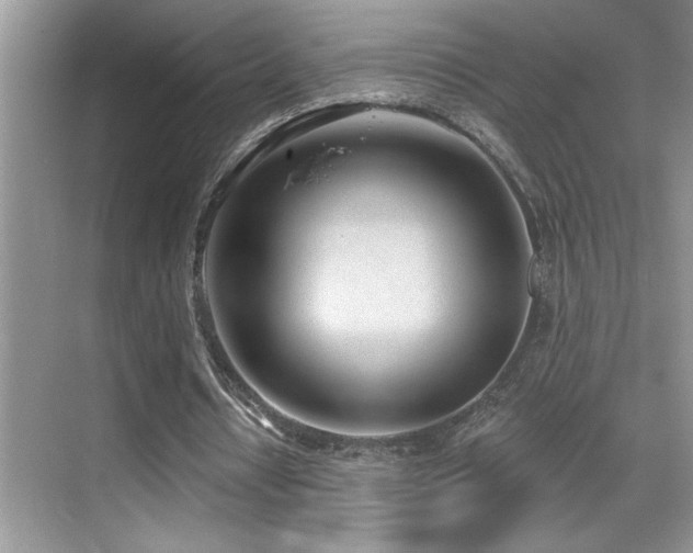 X0000069840434200605191210