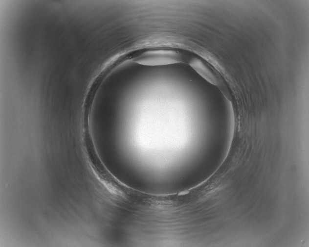 X0000069840438200605191210