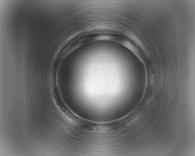 X0000069840444200605191210