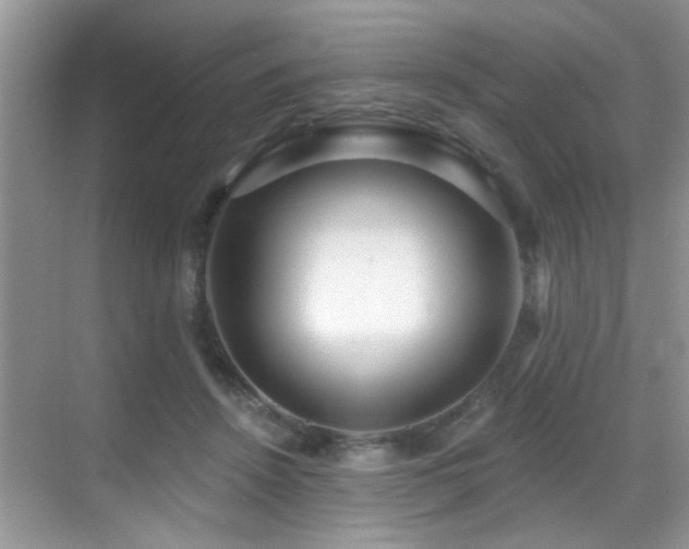 X0000069840456200605191210