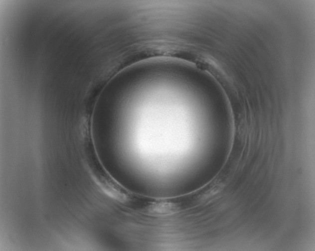 X0000069840459200605191210