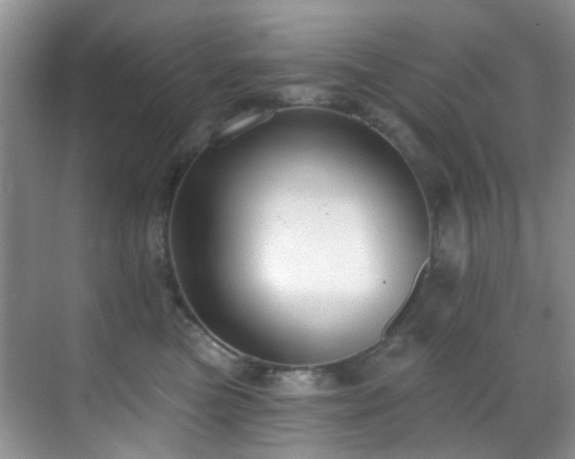 X0000069840473200605191210