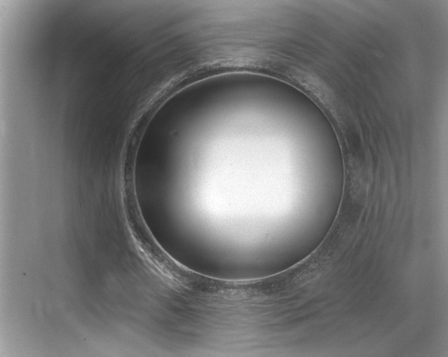 X0000069840482200605191209