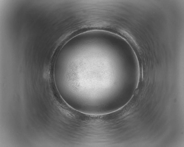 X0000069840483200605191209
