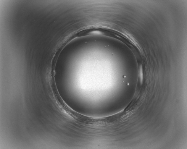 X0000069840485200605191209