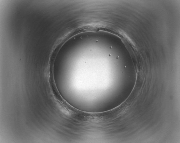 X0000069840486200605191209