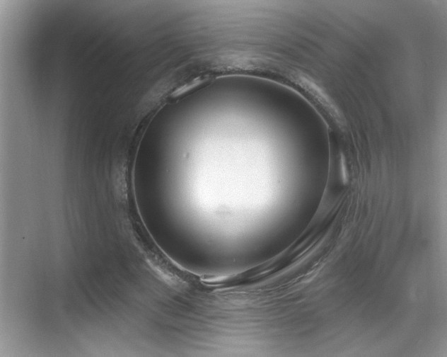 X0000069840489200605191209