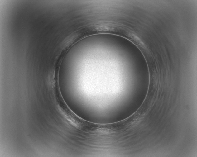 X0000069840490200605191209