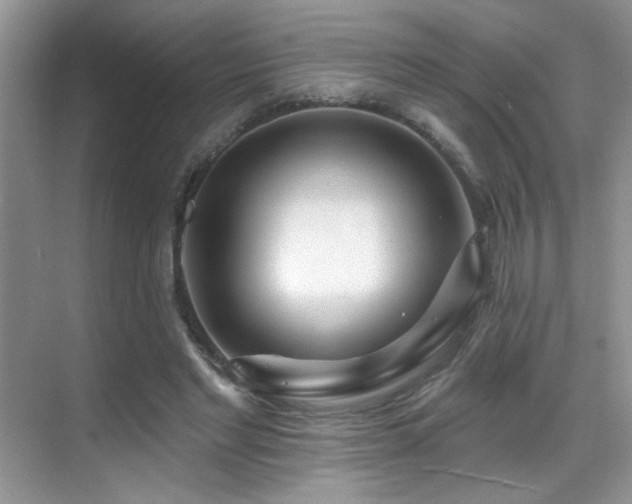 X0000069840493200605191209