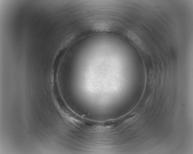 X0000069840494200605191209