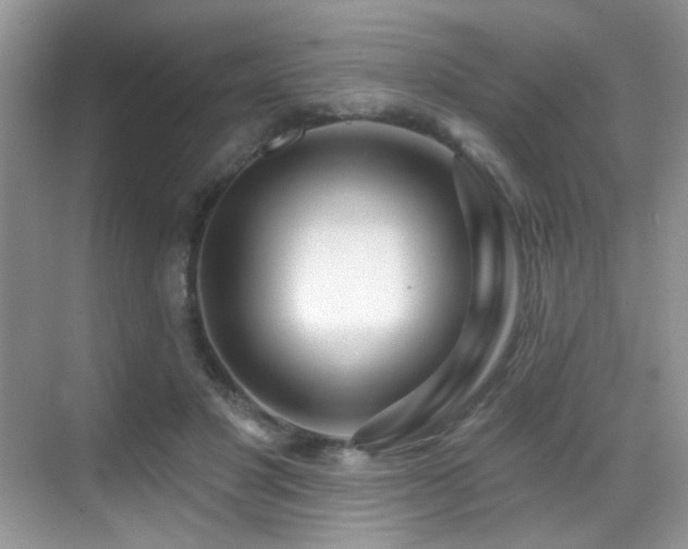 X0000069840501200605191209