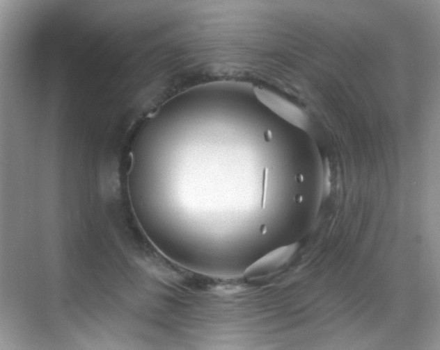 X0000069840508200605191209