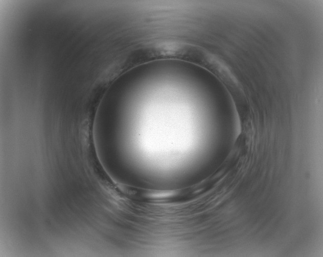 X0000069840509200605191209