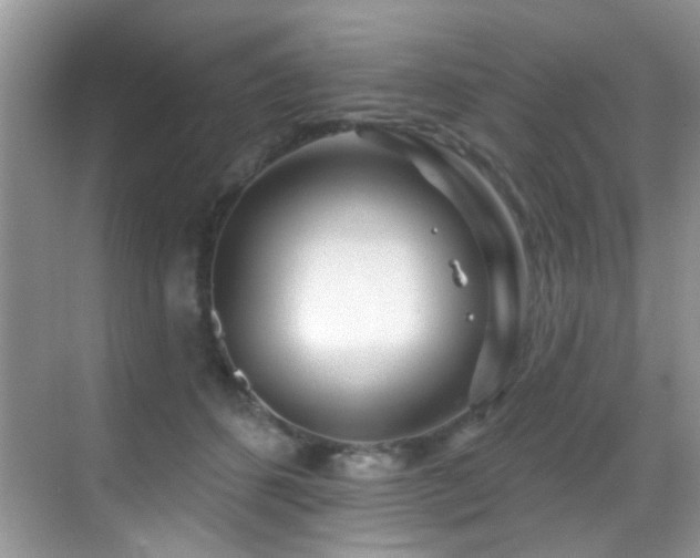 X0000069840512200605191209